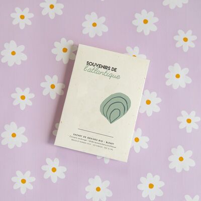 Atlantic Memories - Bag of Cornflower Seeds