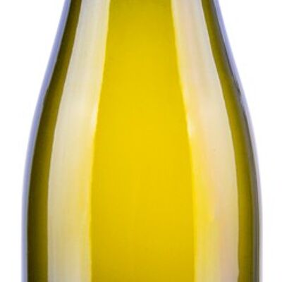 2020 Chardonnay quality wine dry