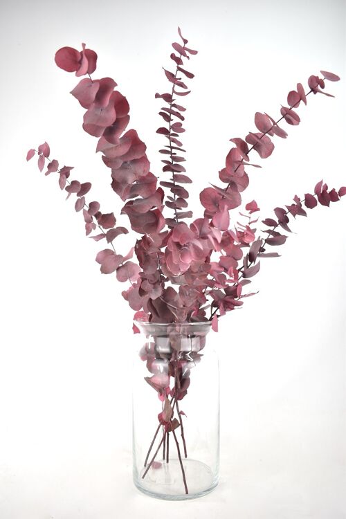 Droogbloemen - Eucalyptus - roze