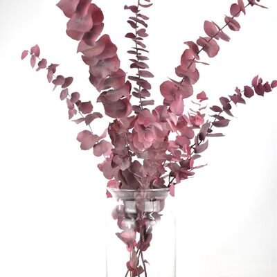 Fleurs séchées - Eucalyptus - rose