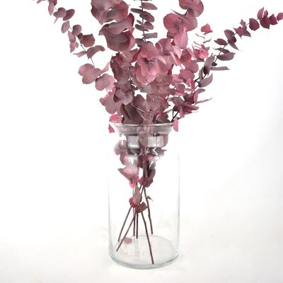 Flores secas - Eucalipto - rosa