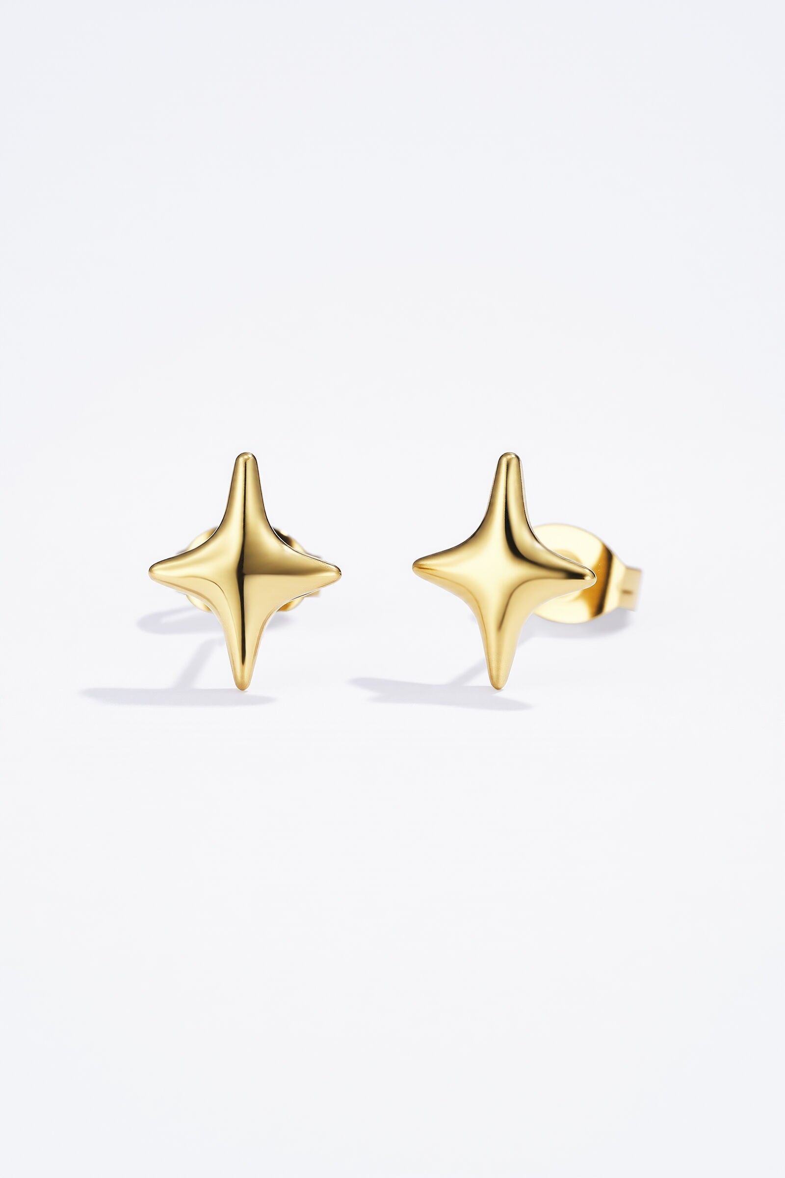 Orecchini in acciaio inossidabile 124RX151