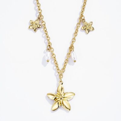 Collier en acier inoxydable 224RX68