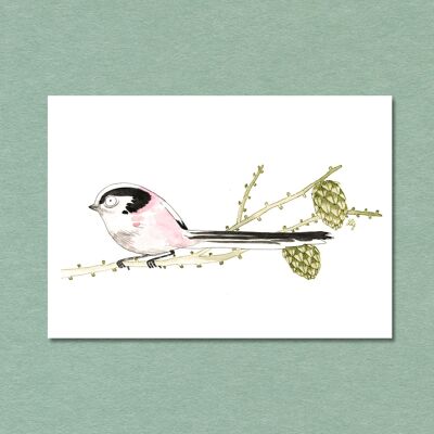 Postkarte Singvogel Schwanzmeise