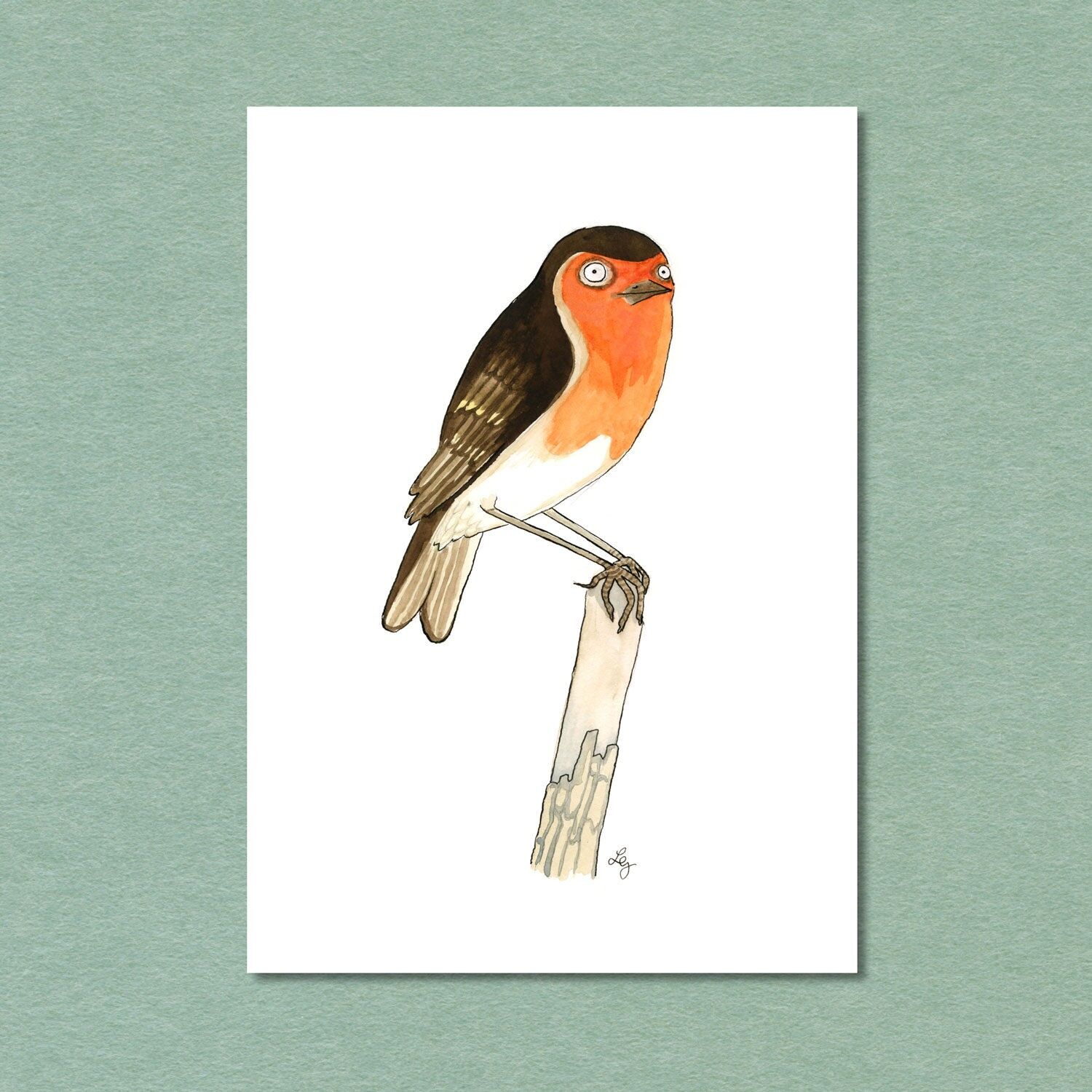 Postkarte Singvogel Rotkehlchen