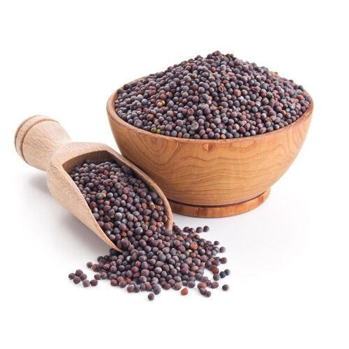 Moutarde Noire Graines Bio