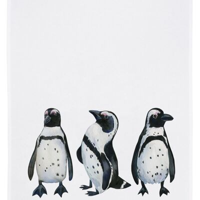 Torchon blanc, PINGOUINS