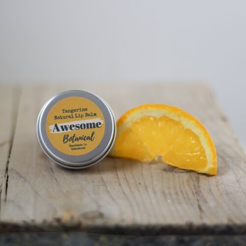 Lip Balm - Tangerine -  Bundle Subscription Box , Stocking Filler