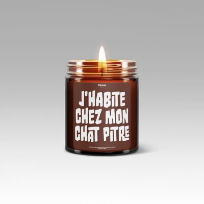 BOUGIE LES MESSAGES LITTÉRAIRES J'HABITE CHEZ MON CHAT PITRE