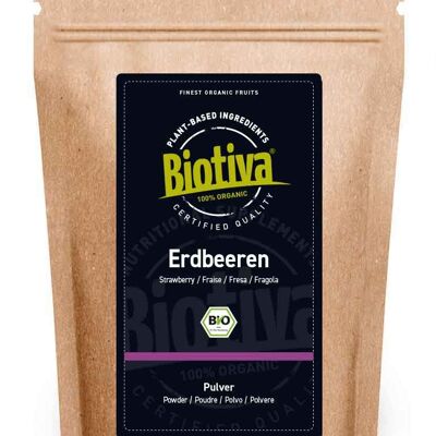 Erdbeer Pulver gefriergetrocknet Bio - 50g