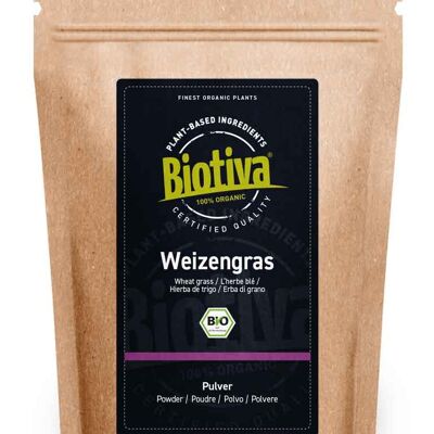 Weizengras Pulver Bio - 500g