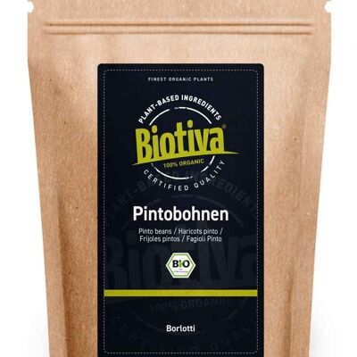Pintobohnen Bio 400g