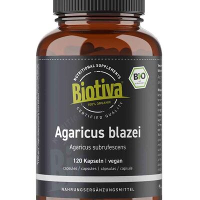 Agaricus blazei Bio (120 Kapseln)