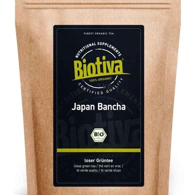 Bancha Grüntee Japan Bio 100g