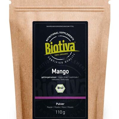 Mango Pulver gefriergetrocknet Bio 110g