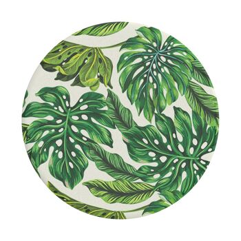 🌿 PopGrip Monstera Deliciosa 🌿 2