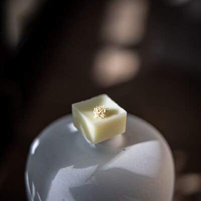 SCENTED WAX MELTS -
