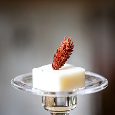SCENTED WAX MELTS - AMBER VANILLA