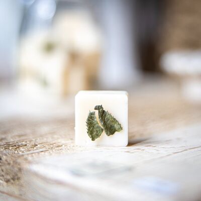 SCENTED WAX MELTS - FRESH BASIL -