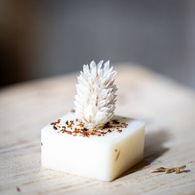 SCENTED WAX MELTS - MONOI COCO