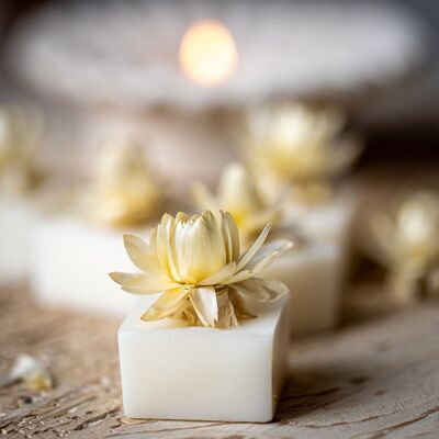 SCENTED WAX MELTS - Cashmere & Cotton