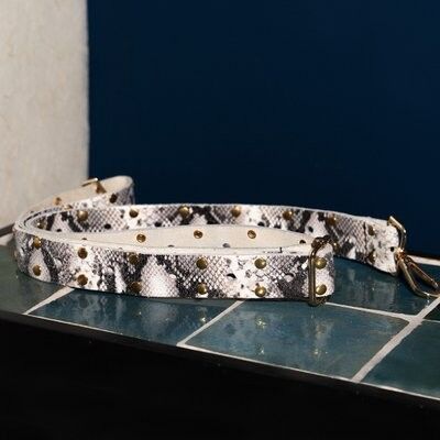 Strap Leather White Snake Gold Studs