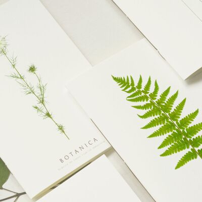 Papelería floral hecha a mano • Pack descubrimiento de verano: cuadernos, tarjetas y pósteres
