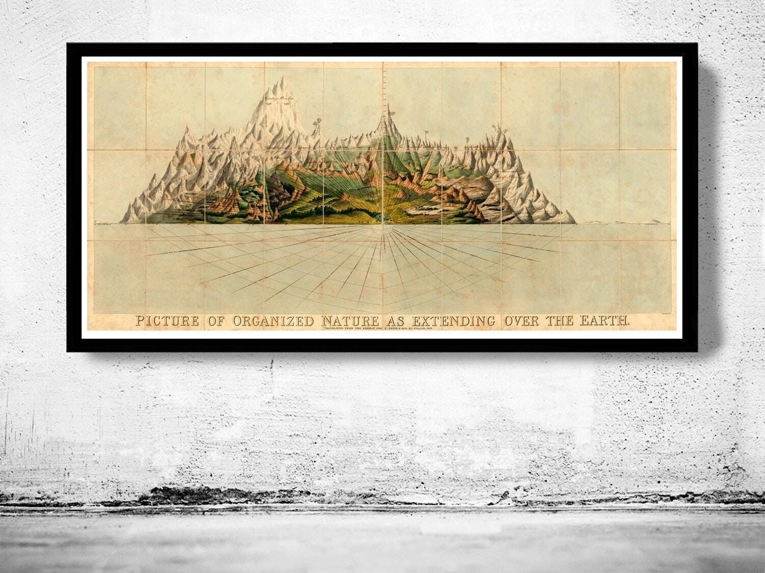Vecchio poster, tabella comparativa delle altezze delle montagne del mondo, 1828, poster vintage | Stampa artistica da parete con mappa d'epoca | Stampa di poster di grandi dimensioni