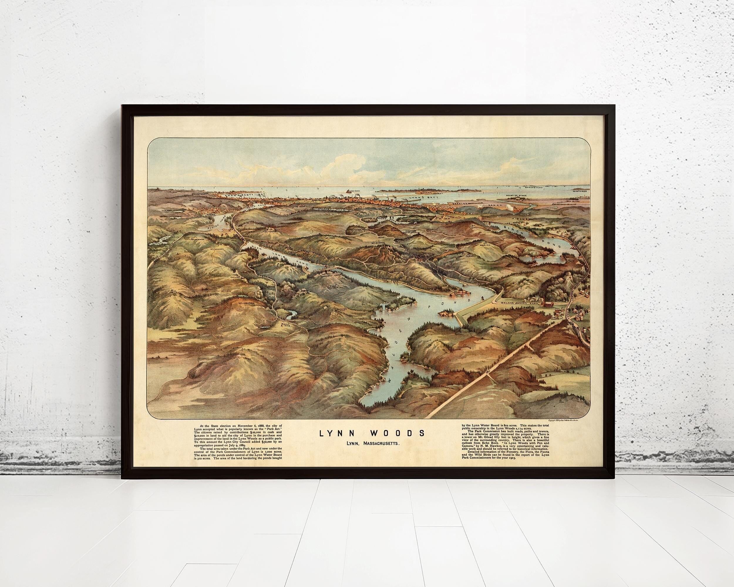 Old Map of Lynn Woods 1904 Massachusetts Vintage Map | Vintage Map Wall Art Print