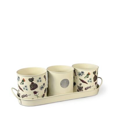 SET OF 3 HERB POTS WITH TRAY