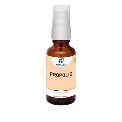 Alcohol-free propolis