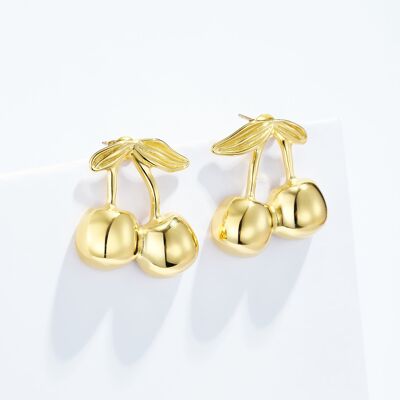 Boucles d'oreilles en acier inoxydable 124AQ420
