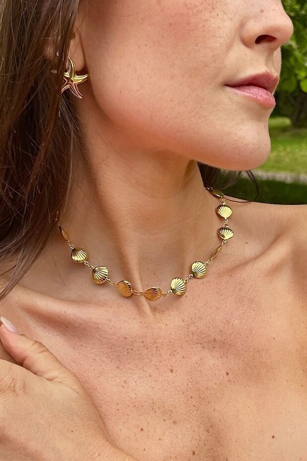 Collari in acciaio inossidabile 224AQ165