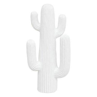 Cactus Exterior Rodrigo H38