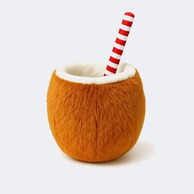 Jouet Coconut pour chien