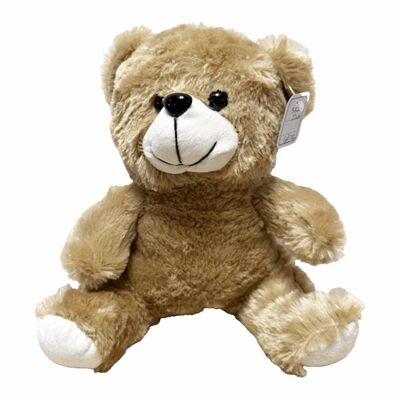 Assorted Bear Plush 22 cm