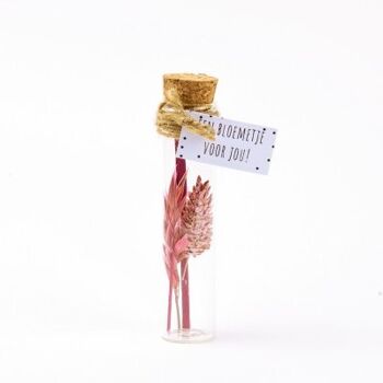 Droogbloem boeket Pink mix 11cm 1