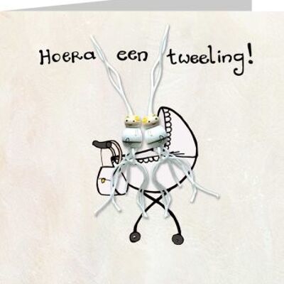 Hoera un tweeling!