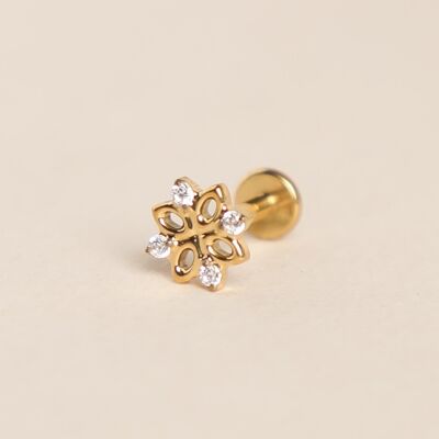 Piercing Maia