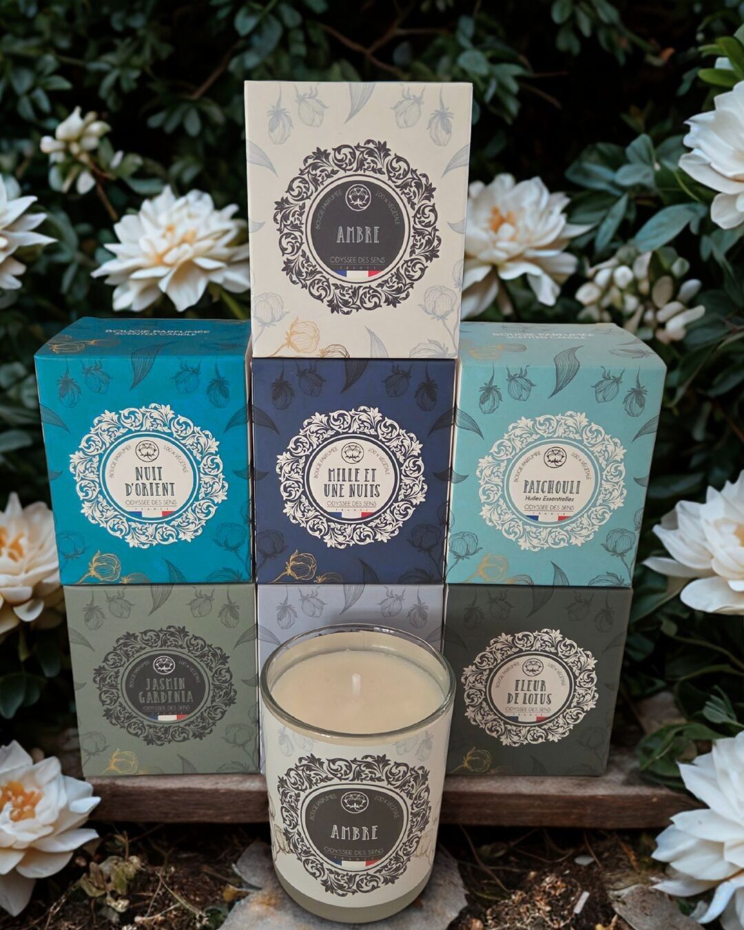 Discovery Pack - Cotton Wick Collection - Exclusive 15% off offer