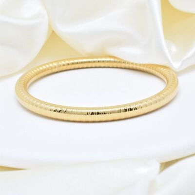 Stainless Steel Bangle Bracelet - BR110316OR