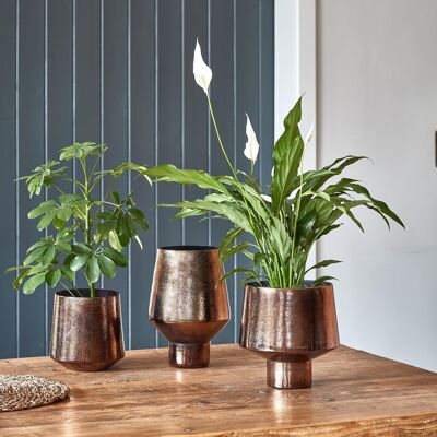Opulent Tall Curved Metallic Bronze Vase H25Cm W16Cm