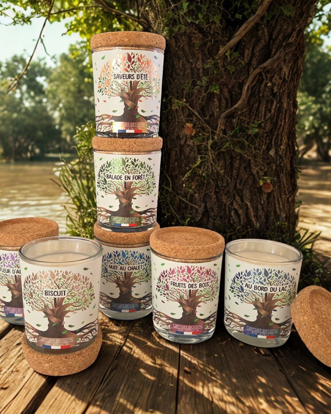 Give your store a breath of nature with a 15% discount on this BEAUTIFUL SEASON discovery pack
