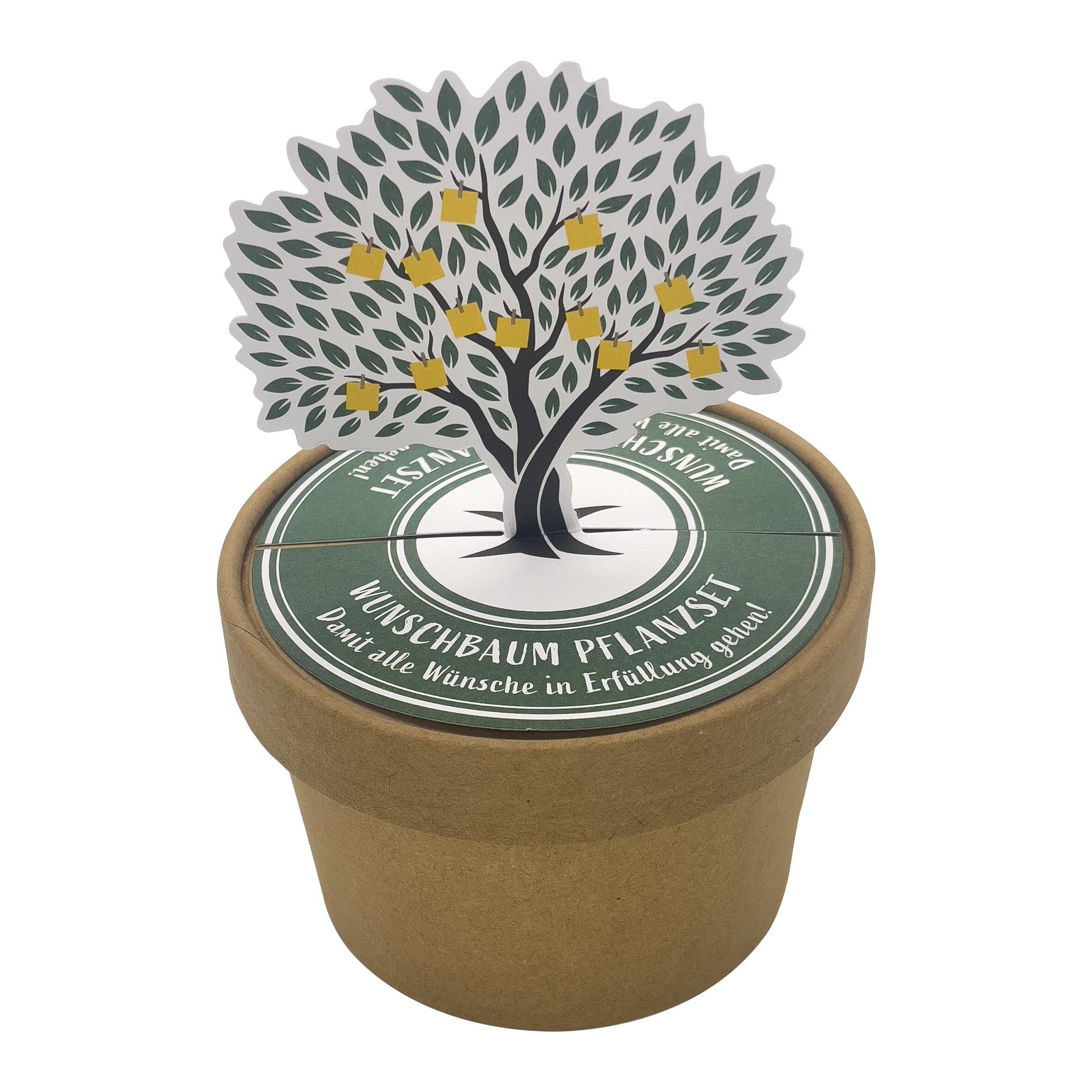 Wishing tree pot for special wishes