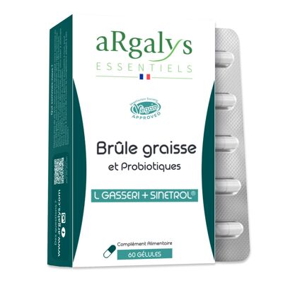 Brûle graisse et probiotiques