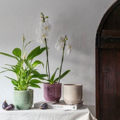 Delphine Garland Rim Green Planter H12cm D13cm