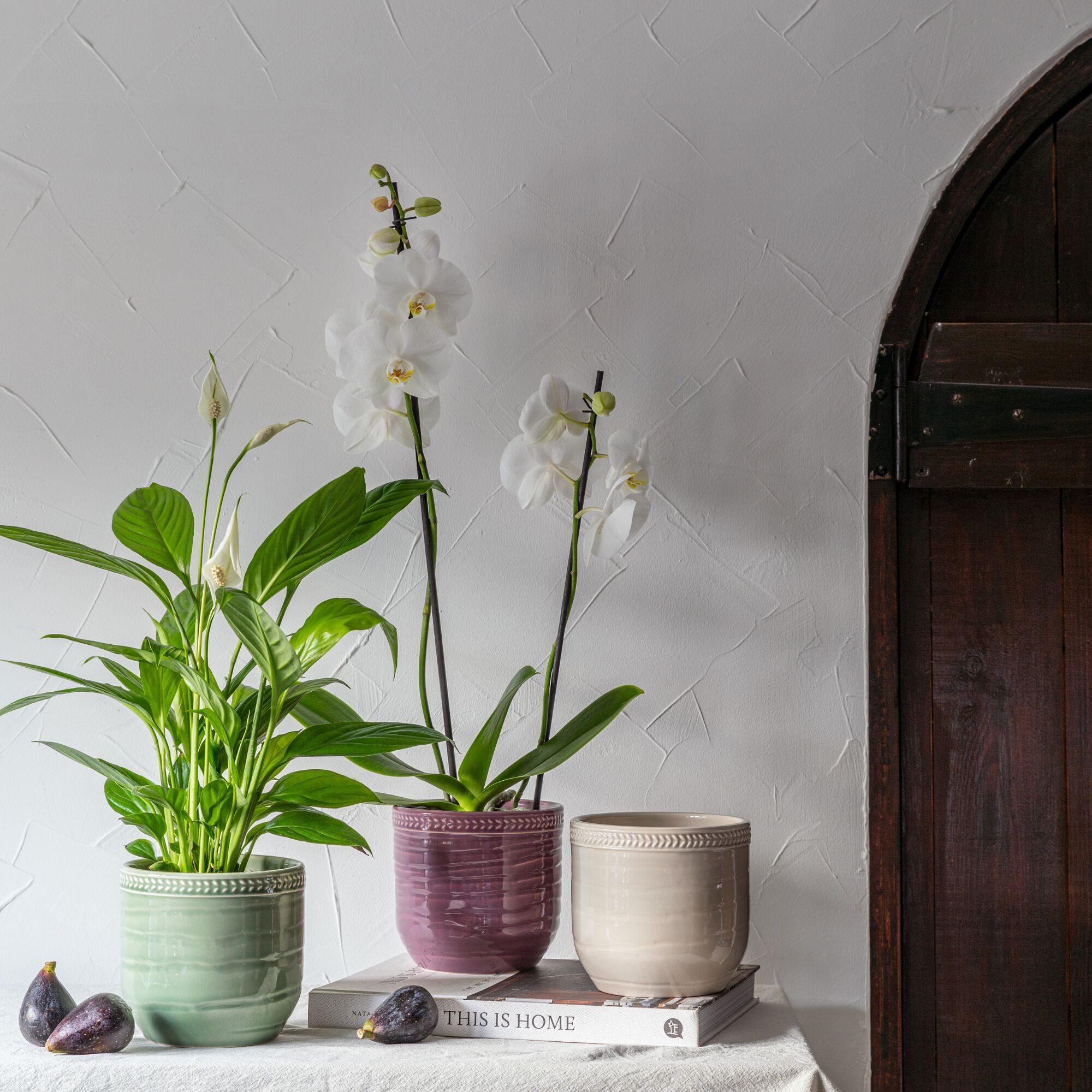 Delphine Garland Rim Planter H14cm D15cm