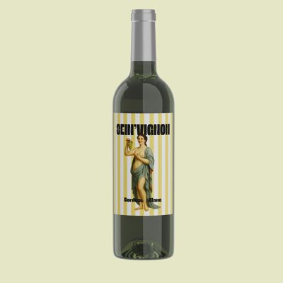 Vino Blanco - Sein'vignon - Blanco Burdeos - 2024