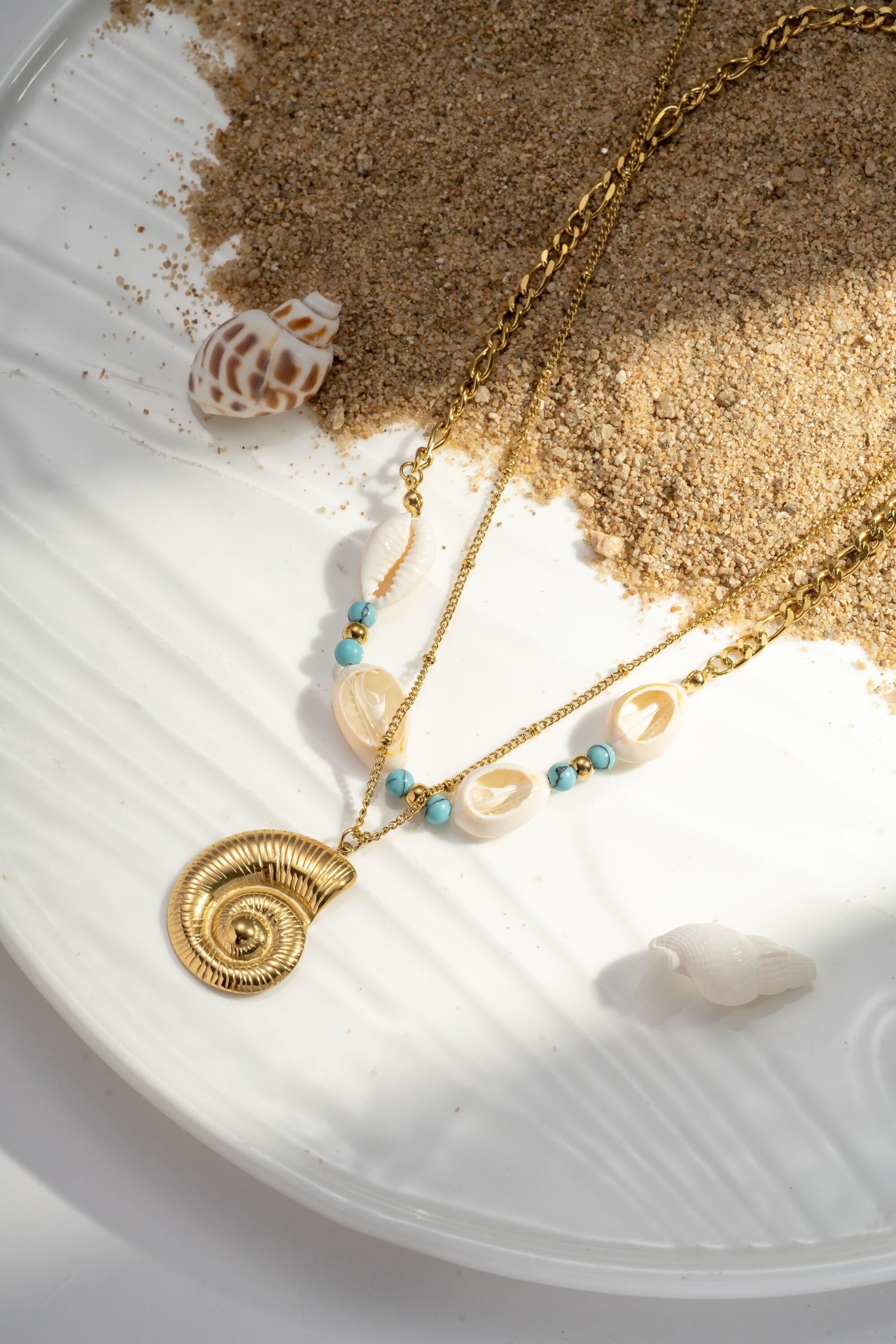 Collar de concha de nautilus de acero inoxidable y oro