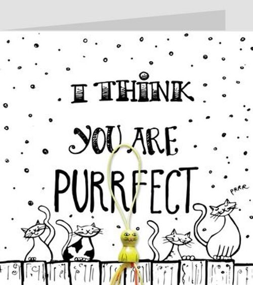 I think you are purrfect